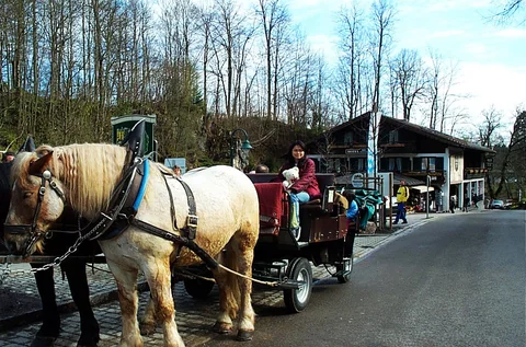遊客搭乘馬車準備往天鵝堡山區前進。