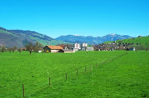 前往 Engelberg 途中窗外的瑞士鄉間景色。