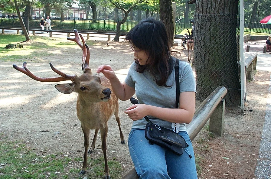 Chris 站在奈良公園,旁邊有鹿群活動
