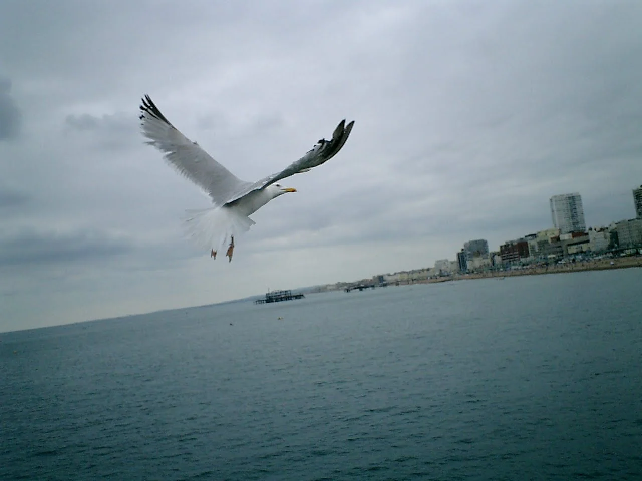 Brighton 海濱景色與人群。