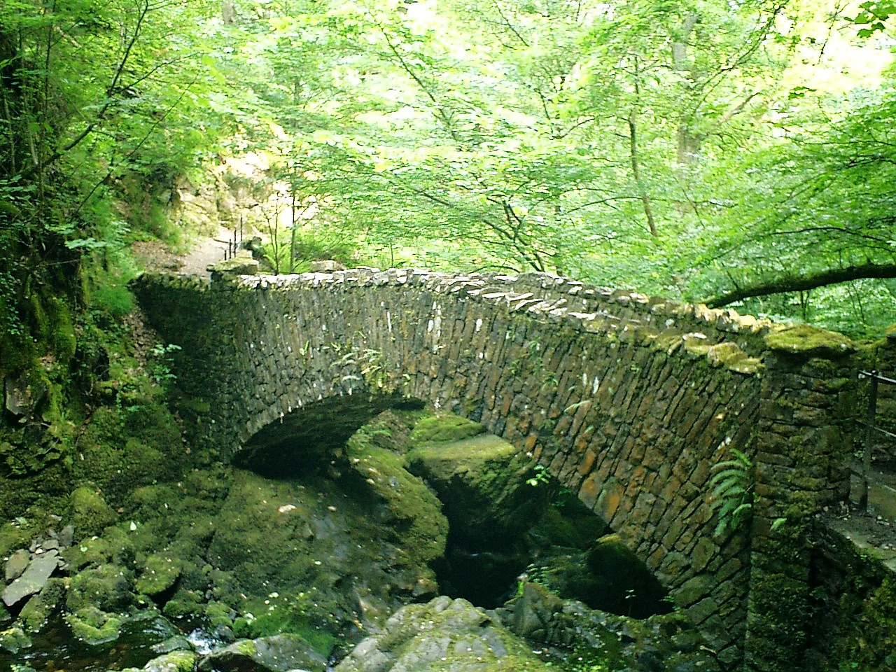 湖區綠色地景、樹林與丘陵。