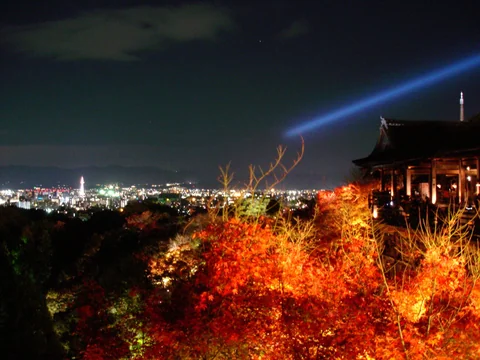 清水寺夜空中的藍色光束與夜間紅葉