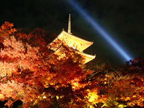 清水寺塔身、紅葉與夜空光束的夜間景色