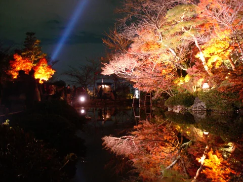 清水寺夜間燈光、紅葉與水面倒影