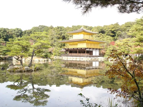 京都金閣寺與池中倒影，周圍有松樹與初秋色彩。