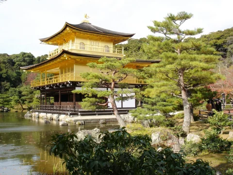 金閣寺金色建築、池水與松樹的近景。