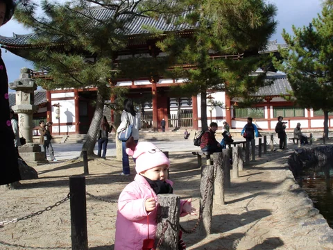 家人在東大寺門口前合影。