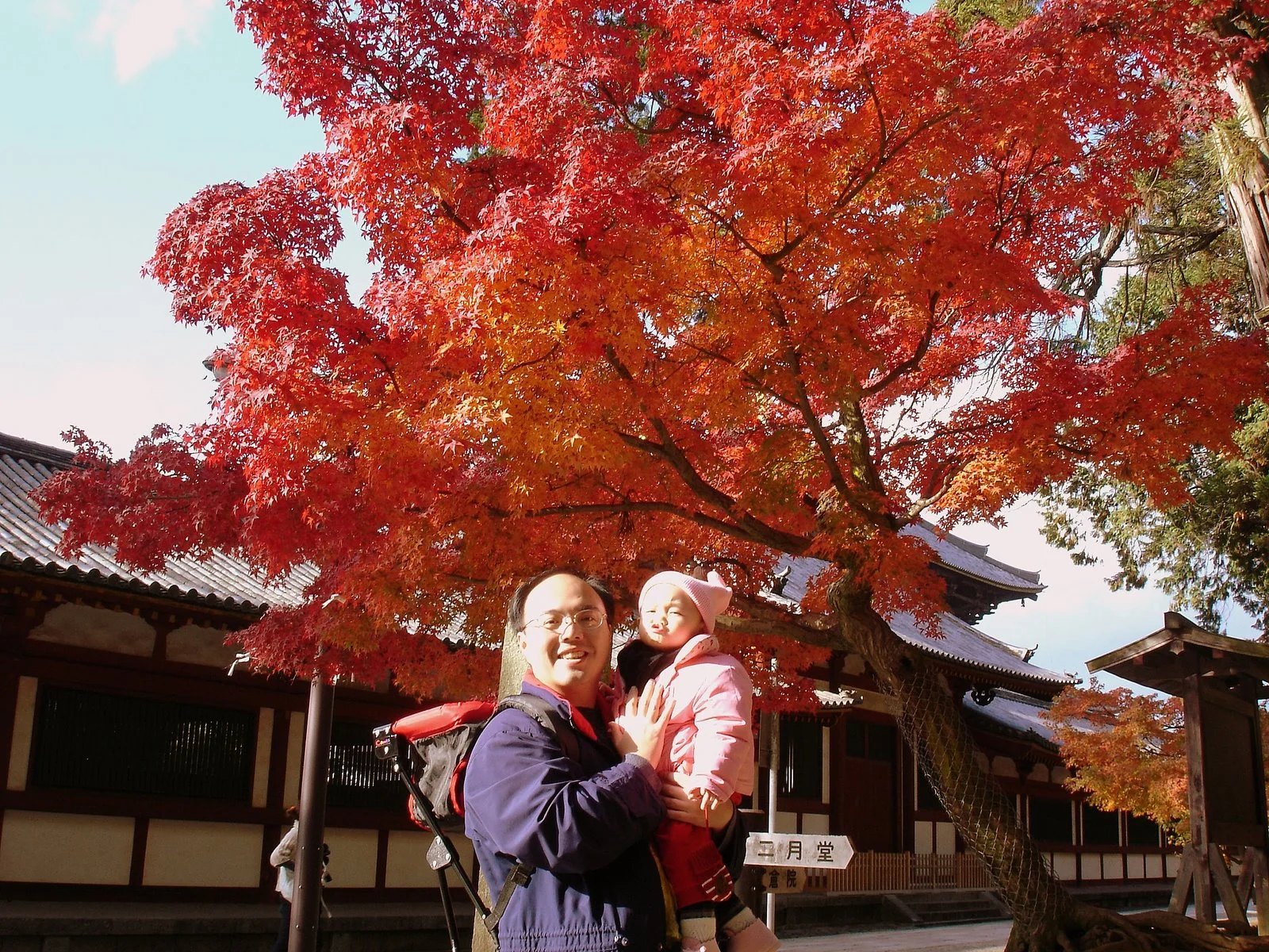 東大寺附近鮮紅的楓葉。