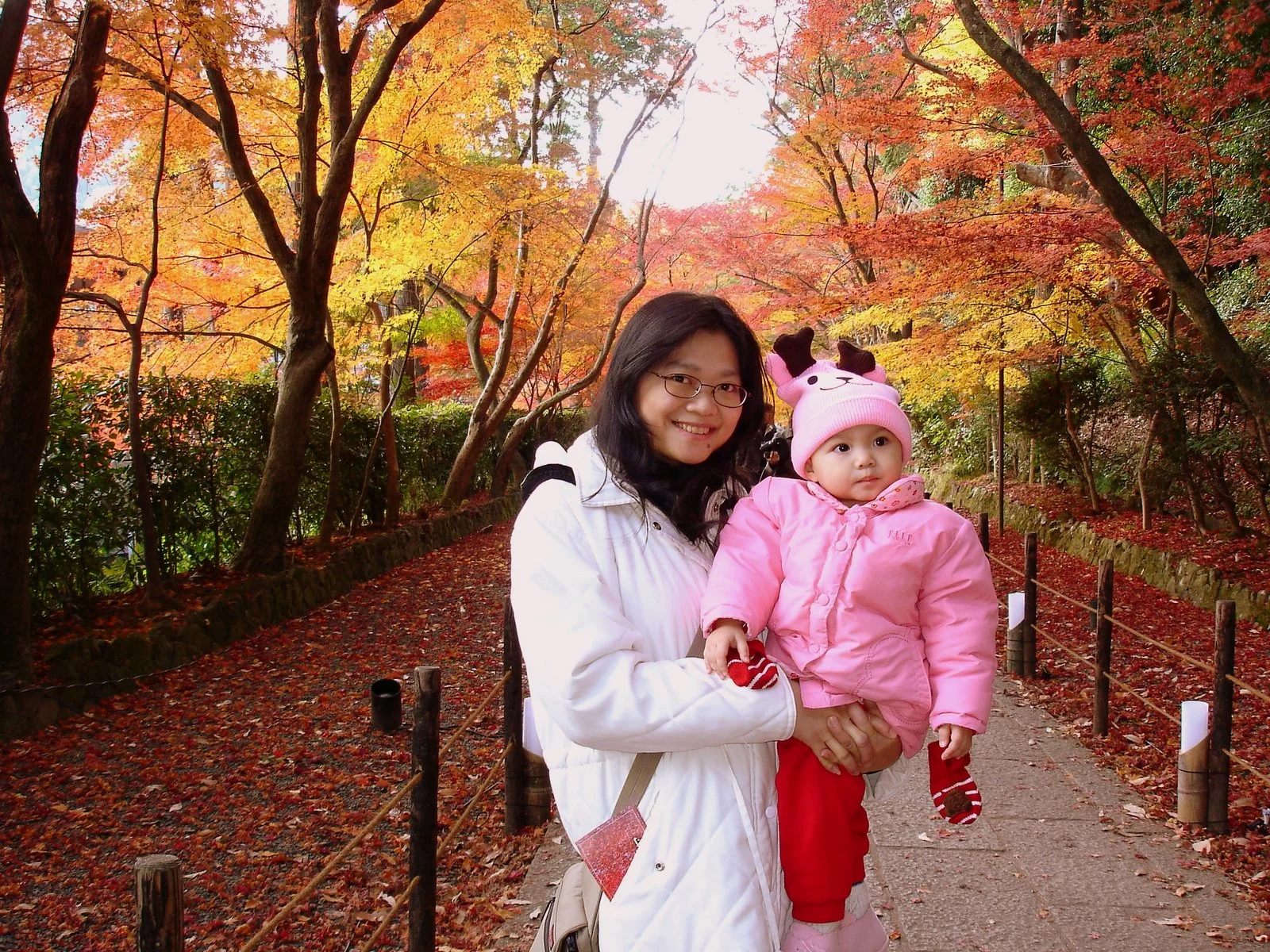光明寺境內明亮的秋季紅葉景色。