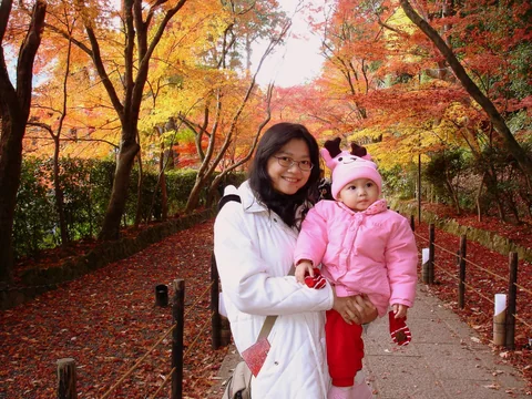 光明寺境內明亮的秋季紅葉景色。