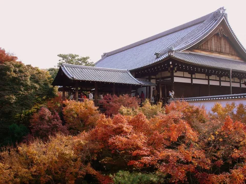 東福寺建築後方與前景的秋天紅葉。