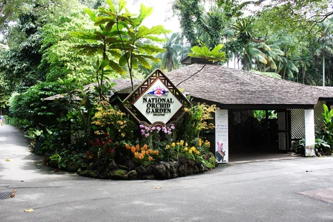 National Orchid Garden 入口小屋，周圍有花與熱帶植物。