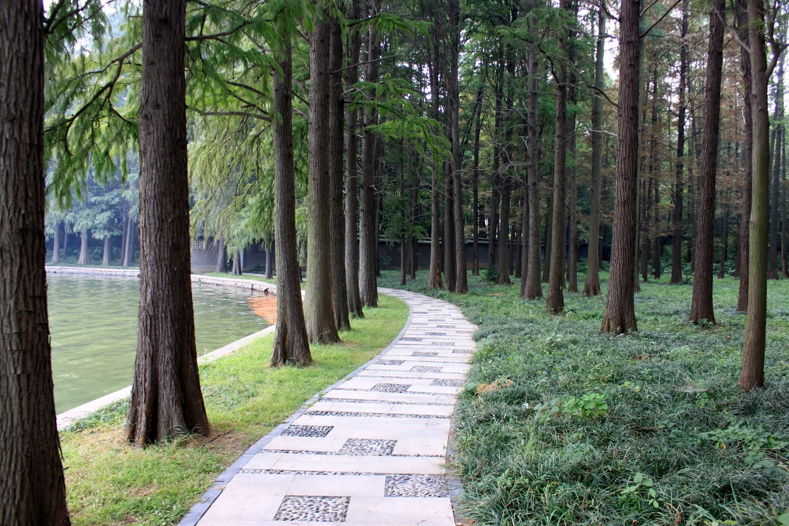 武漢東湖賓館一帶