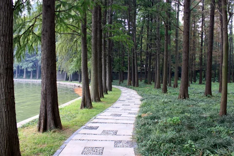 武漢東湖賓館一帶