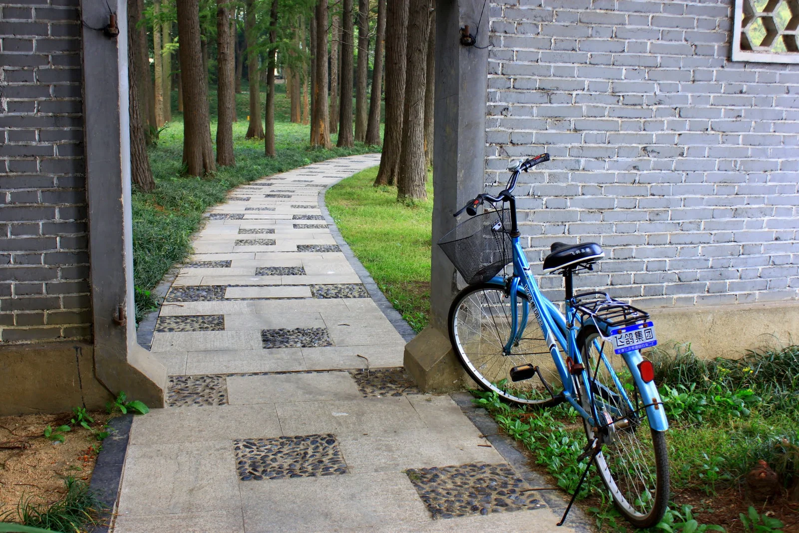 東湖湖邊步道